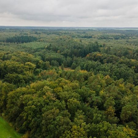 Wald Und See Dargun 16A Eksteriør billede